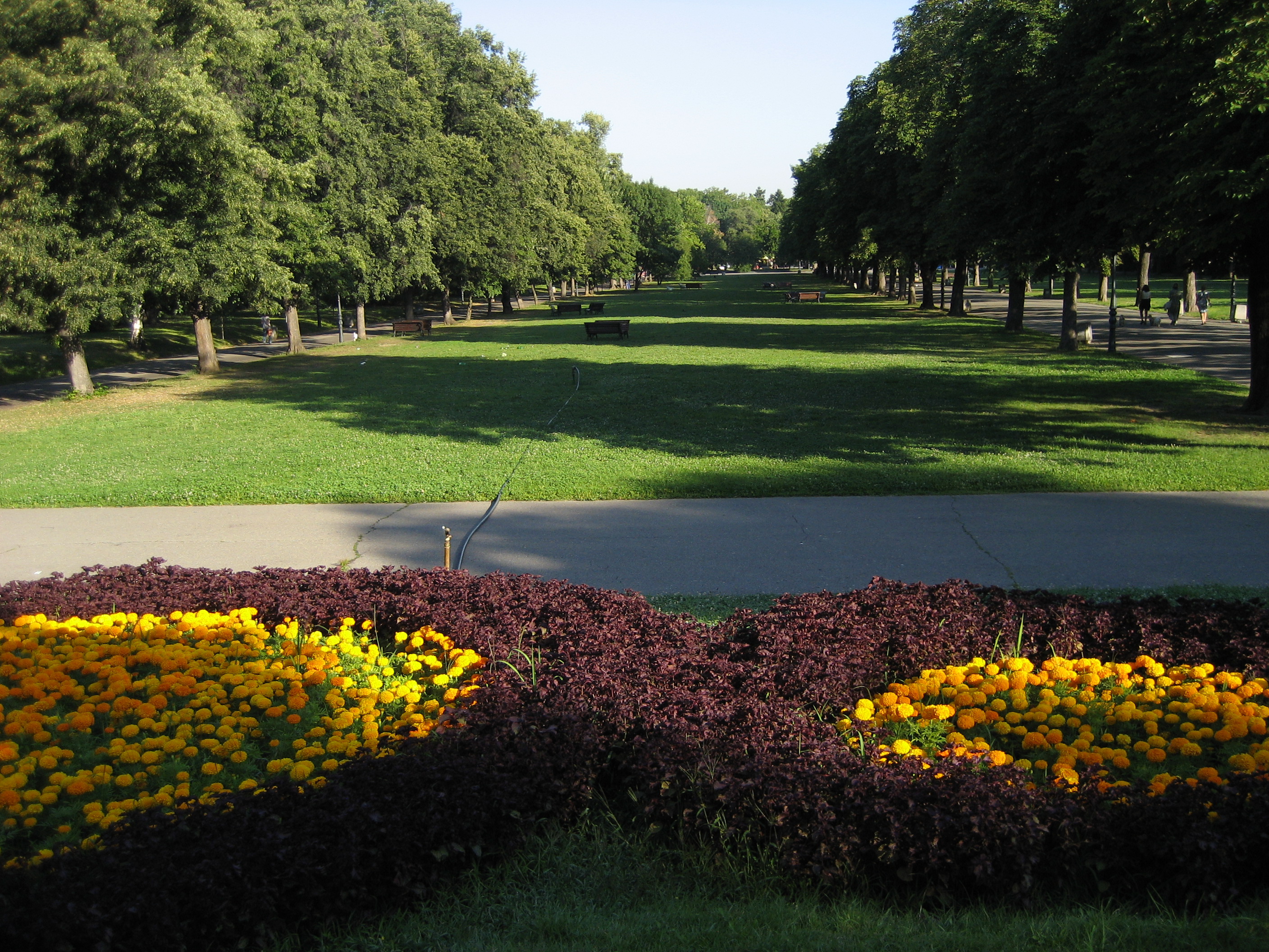 Borisova gradina